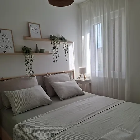 & Toni Zadar